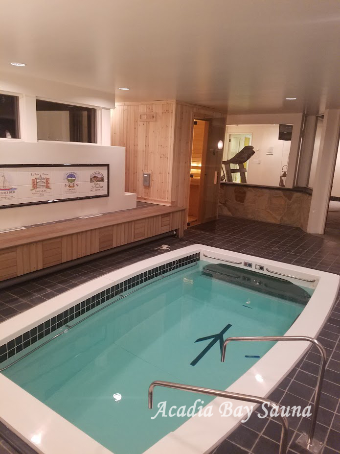 In-home wellness room with plunge pool and sauna